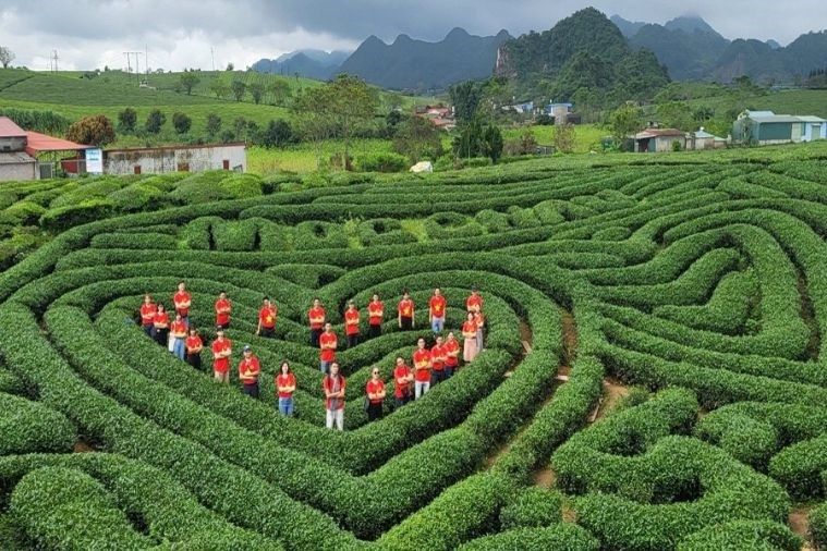 Tour Đà Nẵng - Sapa - Điện Biên - Mộc Châu - Mai Châu 4 Ngày 3 Đêm